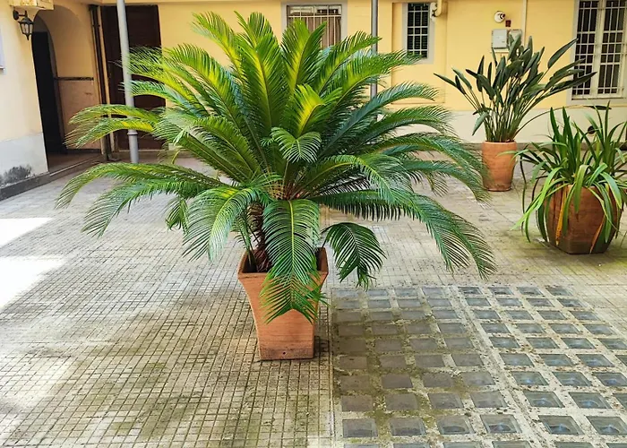Residenza Giolitti Apartment
